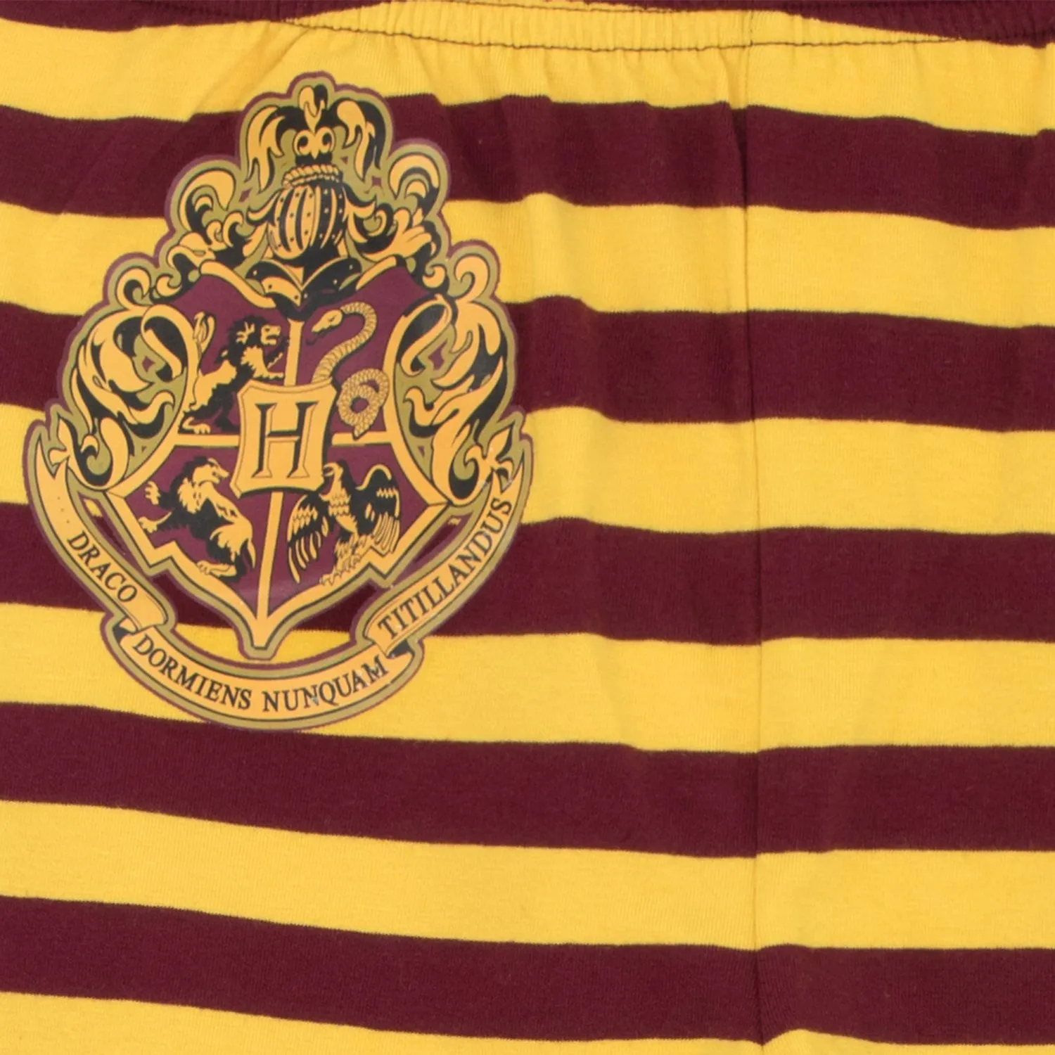Girls Harry Potter Snuggle Fit Pyjamas - Gryffindor